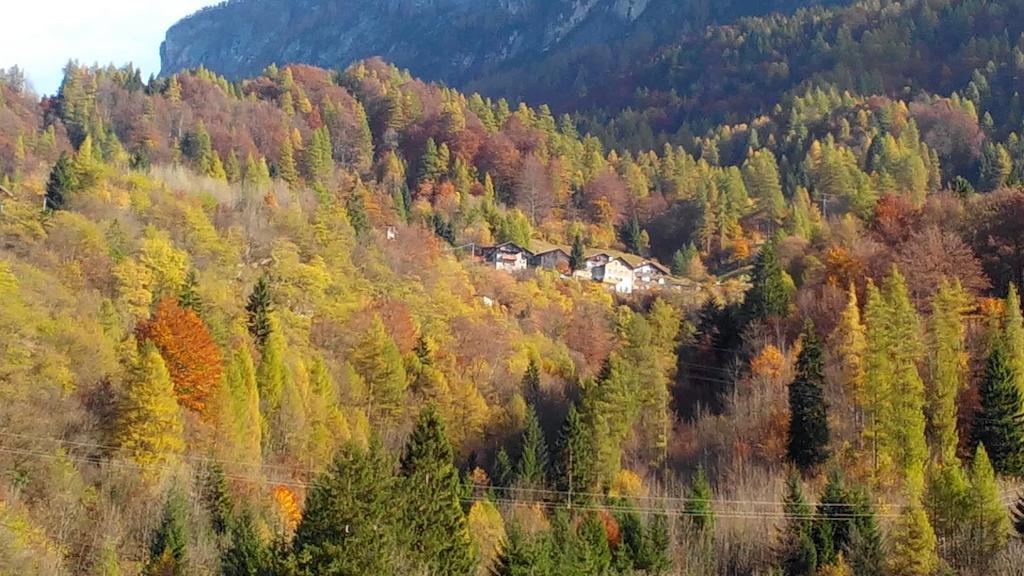 Casa Alpina Villa Cencenighe Eksteriør bilde